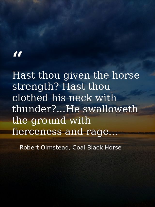 Hast thou given the horse strength? Hast thou clothed his neck with thunder?...He swalloweth the ground with fierceness  — Robert Olmstead, Coal Black Horse