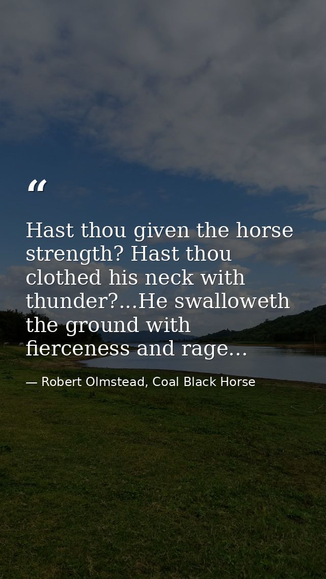 Hast thou given the horse strength? Hast thou clothed his neck with thunder?...He swalloweth the ground with fierceness  — Robert Olmstead, Coal Black Horse
