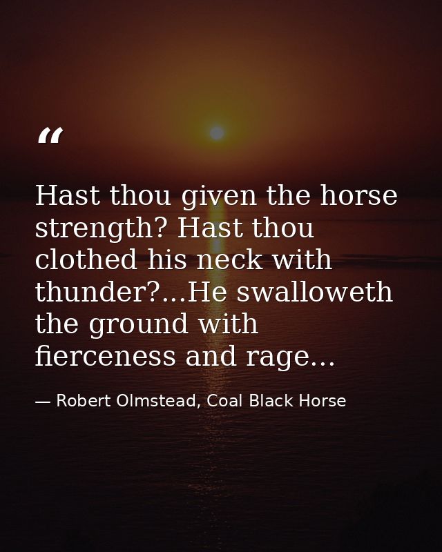 Hast thou given the horse strength? Hast thou clothed his neck with thunder?...He swalloweth the ground with fierceness  — Robert Olmstead, Coal Black Horse