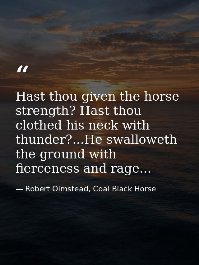 Hast thou given the horse strength? Hast thou clothed his neck with thunder?...He swalloweth the ground with fierceness  — Robert Olmstead, Coal Black Horse