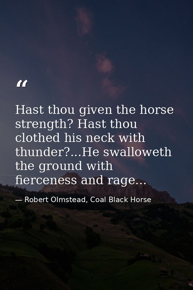 Hast thou given the horse strength? Hast thou clothed his neck with thunder?...He swalloweth the ground with fierceness  — Robert Olmstead, Coal Black Horse