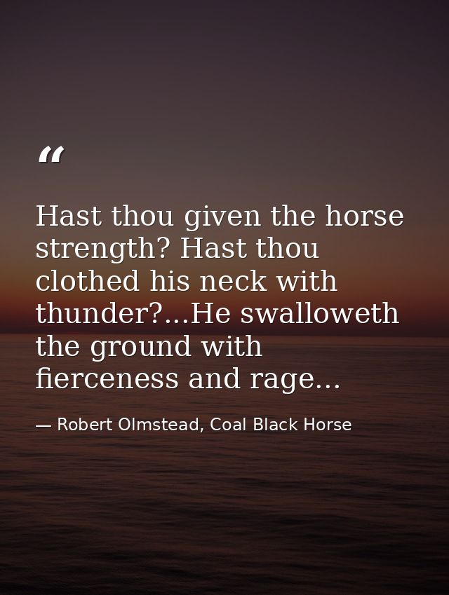 Hast thou given the horse strength? Hast thou clothed his neck with thunder?...He swalloweth the ground with fierceness  — Robert Olmstead, Coal Black Horse