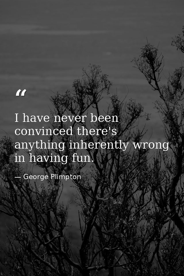 I have never been convinced there's anything inherently wrong in having fun. — George Plimpton