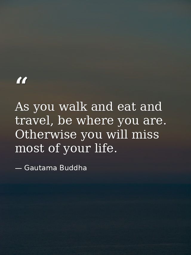 As you walk and eat and travel, be where you are. Otherwise you will miss most of your life. — Gautama Buddha