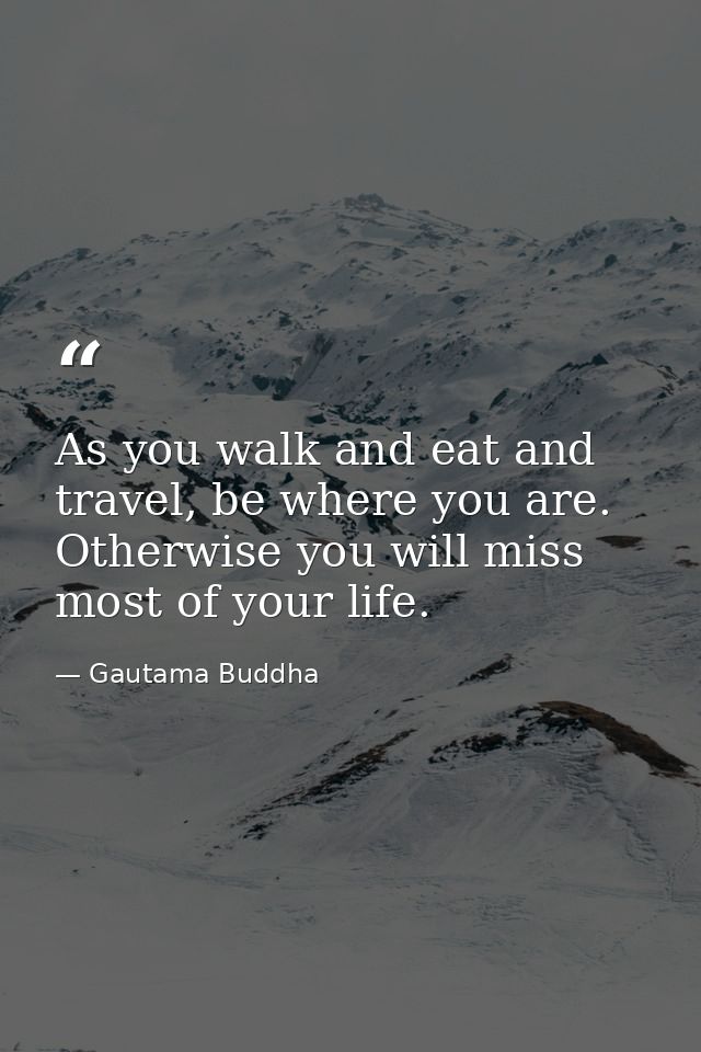As you walk and eat and travel, be where you are. Otherwise you will miss most of your life. — Gautama Buddha
