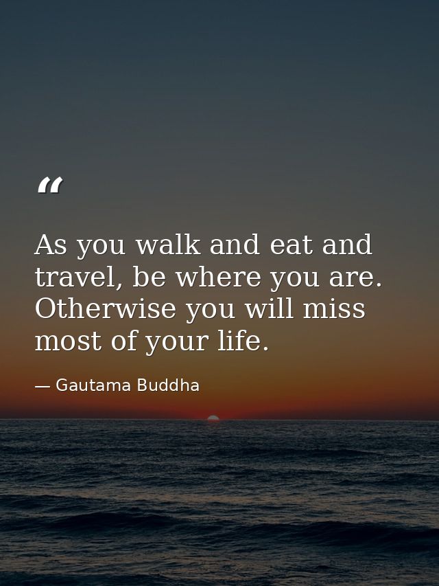 As you walk and eat and travel, be where you are. Otherwise you will miss most of your life. — Gautama Buddha