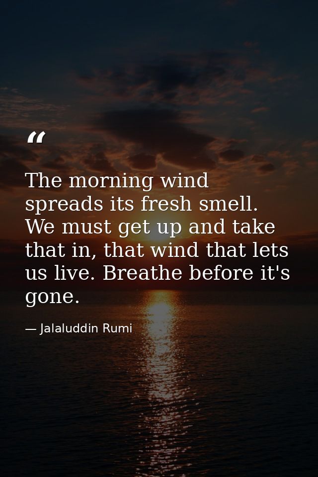 The morning wind spreads its fresh smell. We must get up and take that in, that wind that lets us live. Breathe before i — Jalaluddin Rumi