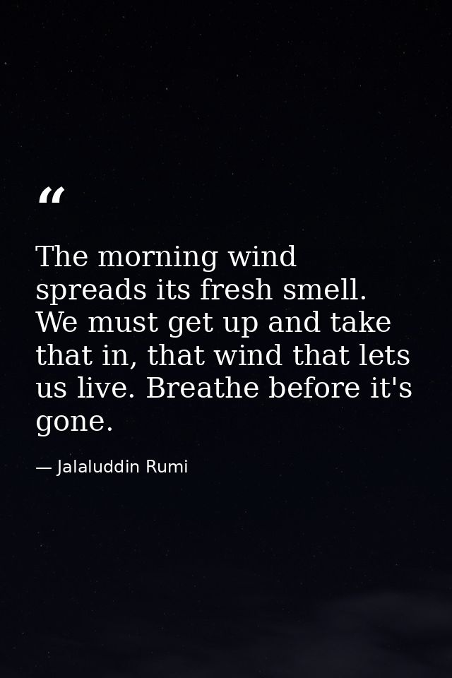 The morning wind spreads its fresh smell. We must get up and take that in, that wind that lets us live. Breathe before i — Jalaluddin Rumi