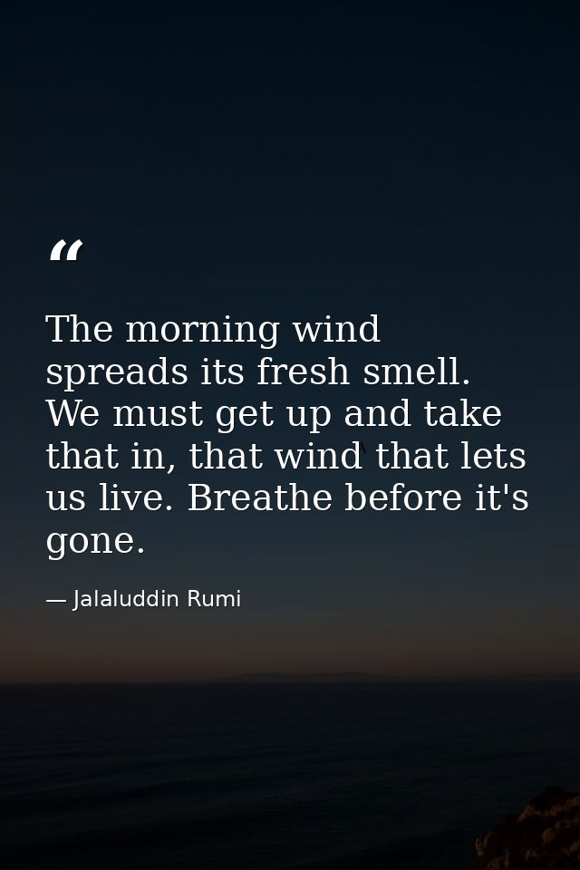 The morning wind spreads its fresh smell. We must get up and take that in, that wind that lets us live. Breathe before i — Jalaluddin Rumi