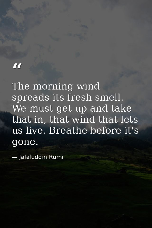 The morning wind spreads its fresh smell. We must get up and take that in, that wind that lets us live. Breathe before i — Jalaluddin Rumi