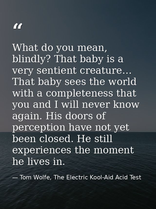 What do you mean, blindly? That baby is a very sentient creature… That baby sees the world with a completeness that you  — Tom Wolfe, The Electric Kool-Aid Acid Test
