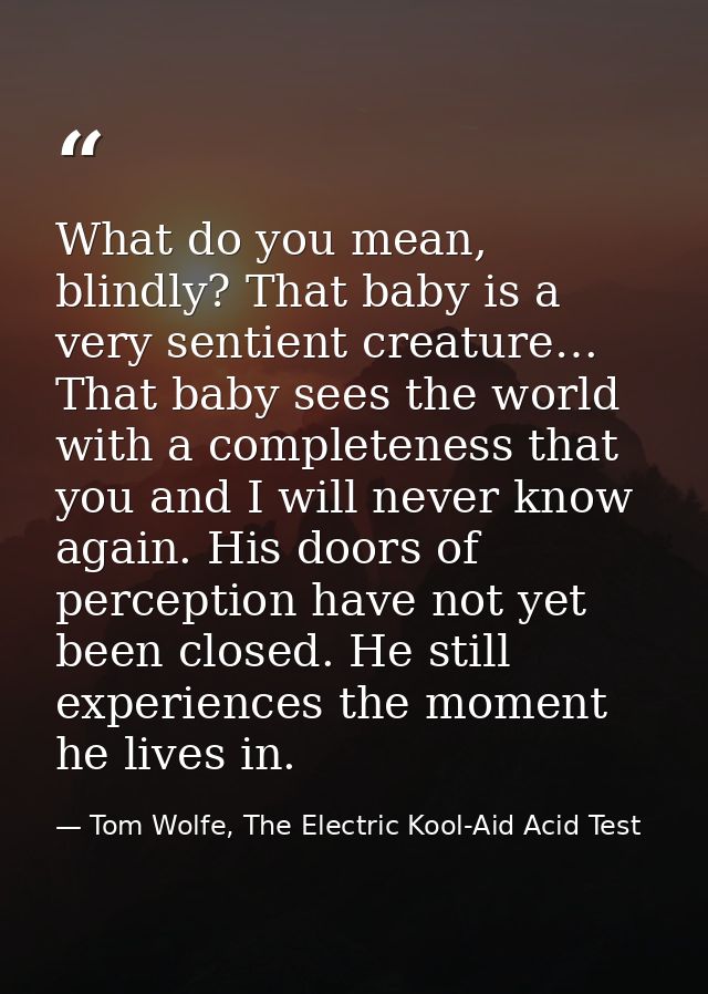 What do you mean, blindly? That baby is a very sentient creature… That baby sees the world with a completeness that you  — Tom Wolfe, The Electric Kool-Aid Acid Test