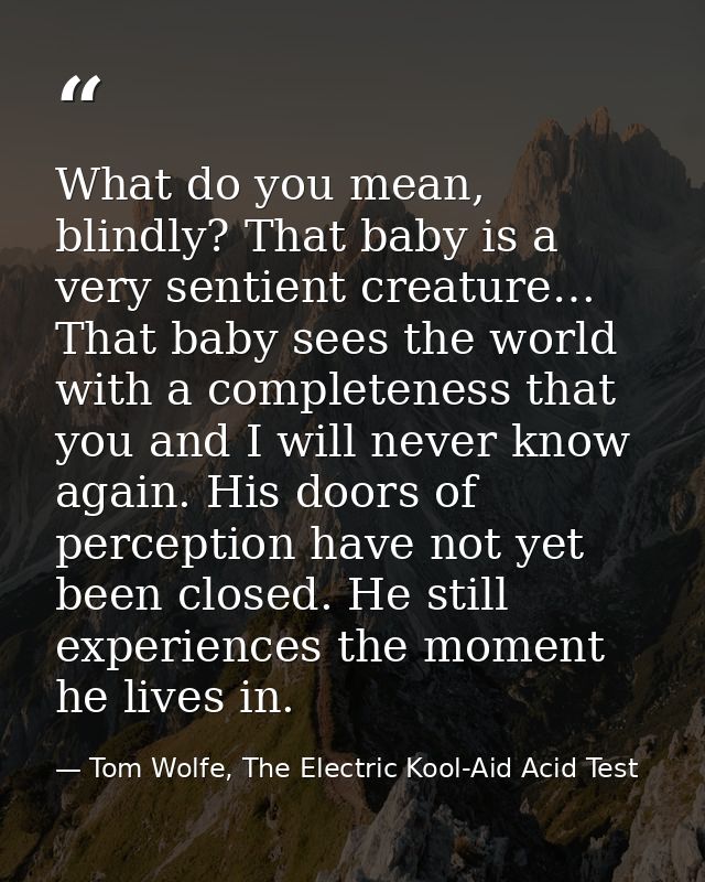 What do you mean, blindly? That baby is a very sentient creature… That baby sees the world with a completeness that you  — Tom Wolfe, The Electric Kool-Aid Acid Test