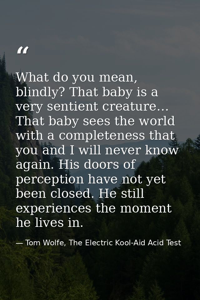 What do you mean, blindly? That baby is a very sentient creature… That baby sees the world with a completeness that you  — Tom Wolfe, The Electric Kool-Aid Acid Test