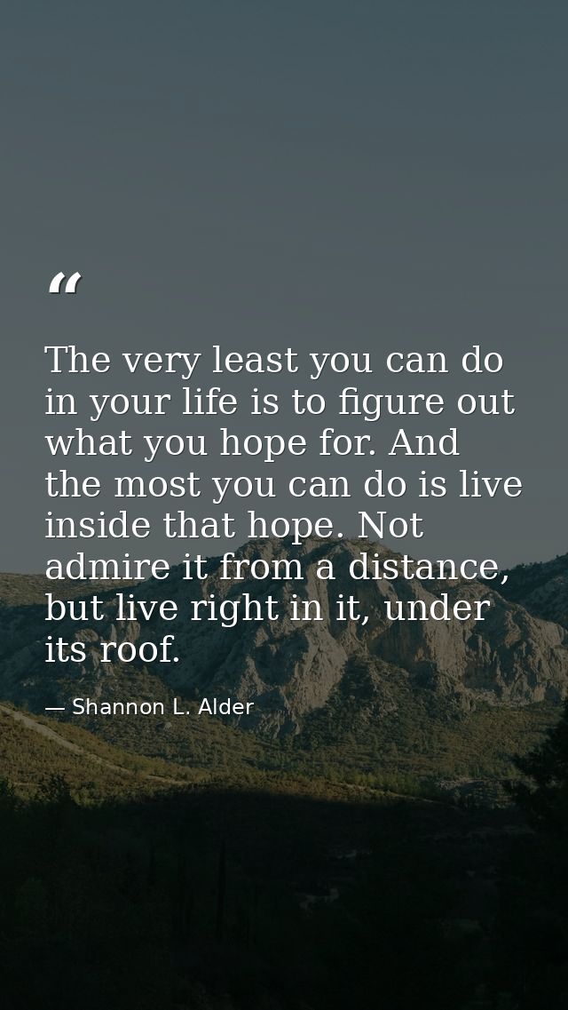The very least you can do in your life is to figure out what you hope for. And the most you can do is live inside that h — Shannon L. Alder