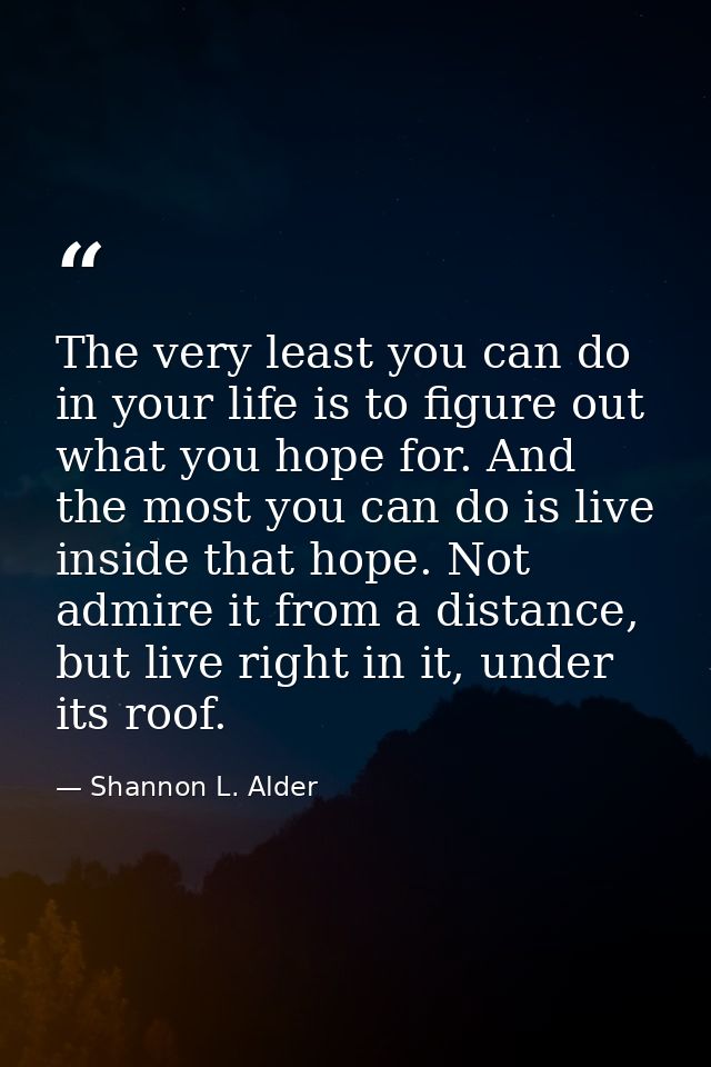 The very least you can do in your life is to figure out what you hope for. And the most you can do is live inside that h — Shannon L. Alder