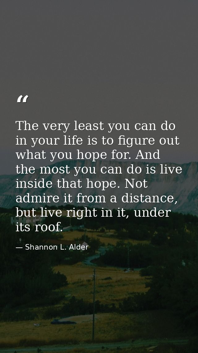 The very least you can do in your life is to figure out what you hope for. And the most you can do is live inside that h — Shannon L. Alder