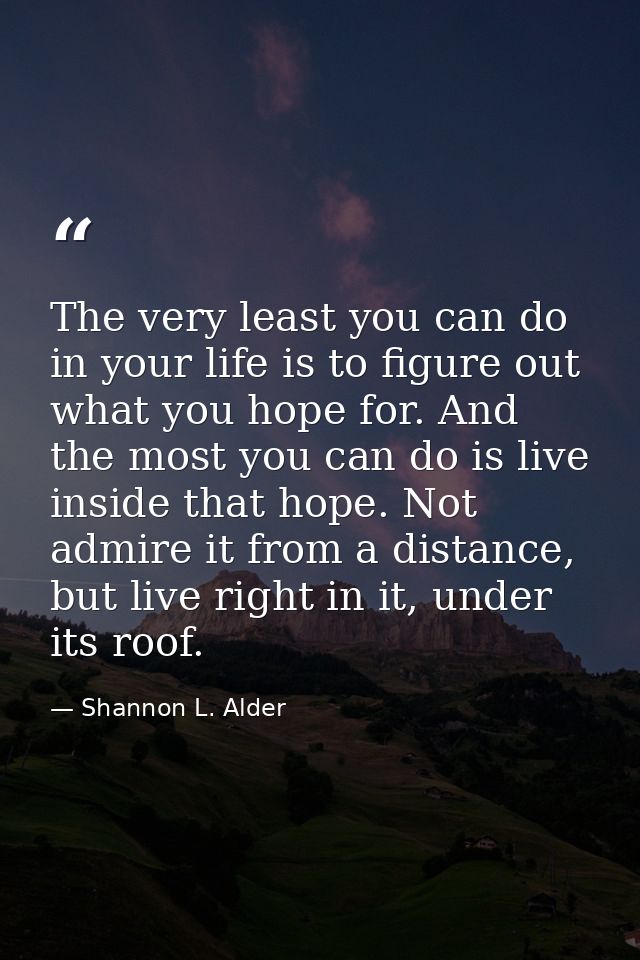 The very least you can do in your life is to figure out what you hope for. And the most you can do is live inside that h — Shannon L. Alder