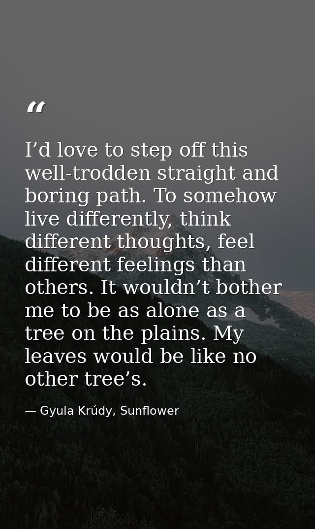 I’d love to step off this well-trodden straight and boring path. To somehow live differently, think different thoughts,  — Gyula Krúdy, Sunflower