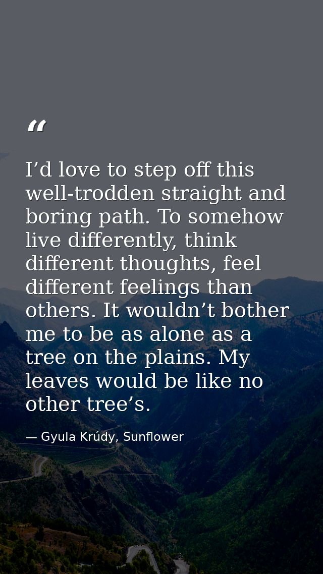 I’d love to step off this well-trodden straight and boring path. To somehow live differently, think different thoughts,  — Gyula Krúdy, Sunflower