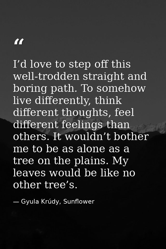 I’d love to step off this well-trodden straight and boring path. To somehow live differently, think different thoughts,  — Gyula Krúdy, Sunflower