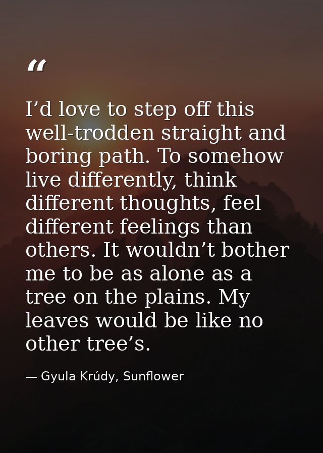 I’d love to step off this well-trodden straight and boring path. To somehow live differently, think different thoughts,  — Gyula Krúdy, Sunflower