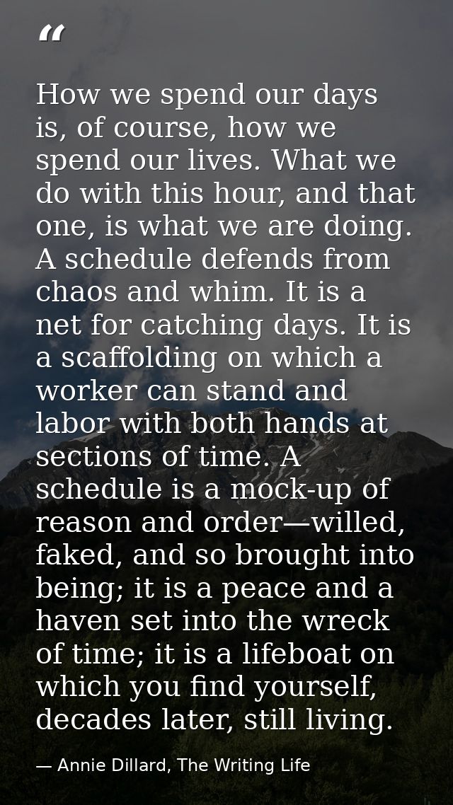How we spend our days is, of course, how we spend our lives. What we do with this hour, and that one, is what we are doi — Annie Dillard, The Writing Life
