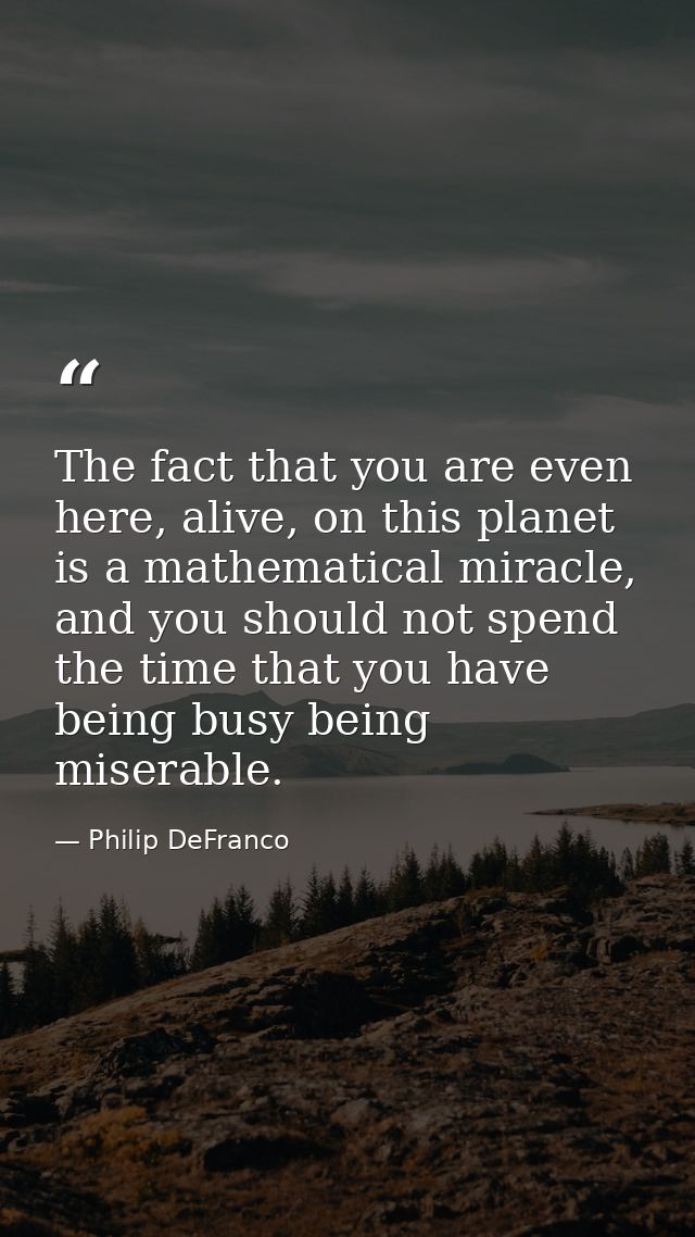 The fact that you are even here, alive, on this planet is a mathematical miracle, and you should not spend the time that — Philip DeFranco