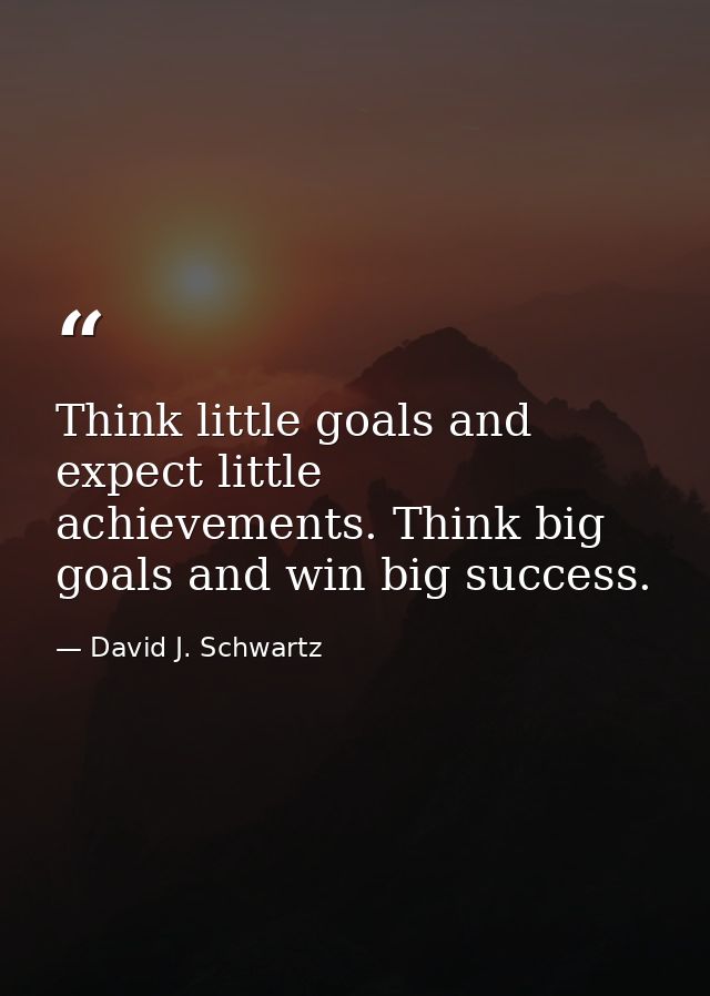 Think little goals and expect little achievements. Think big goals and win big success. — David J. Schwartz