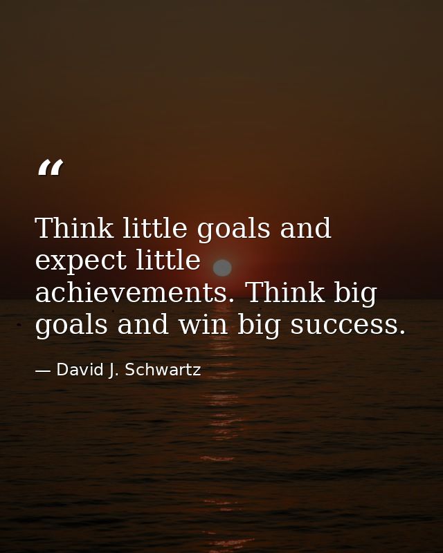 Think little goals and expect little achievements. Think big goals and win big success. — David J. Schwartz