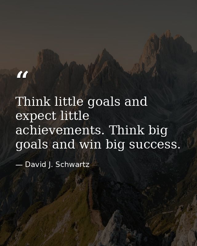 Think little goals and expect little achievements. Think big goals and win big success. — David J. Schwartz