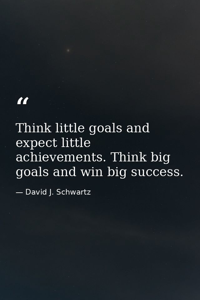 Think little goals and expect little achievements. Think big goals and win big success. — David J. Schwartz