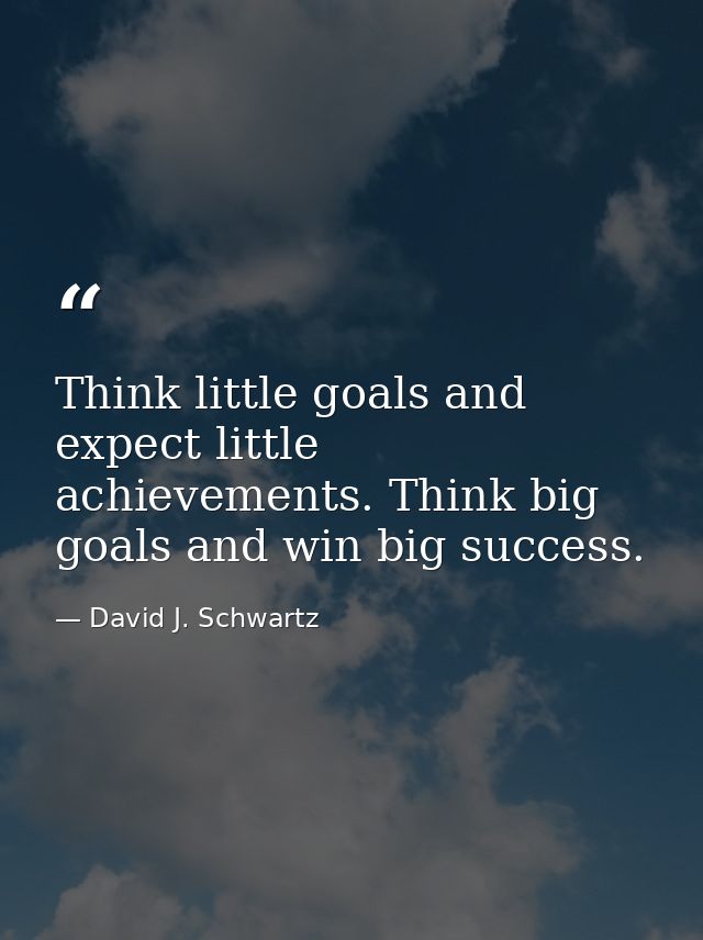 Think little goals and expect little achievements. Think big goals and win big success. — David J. Schwartz