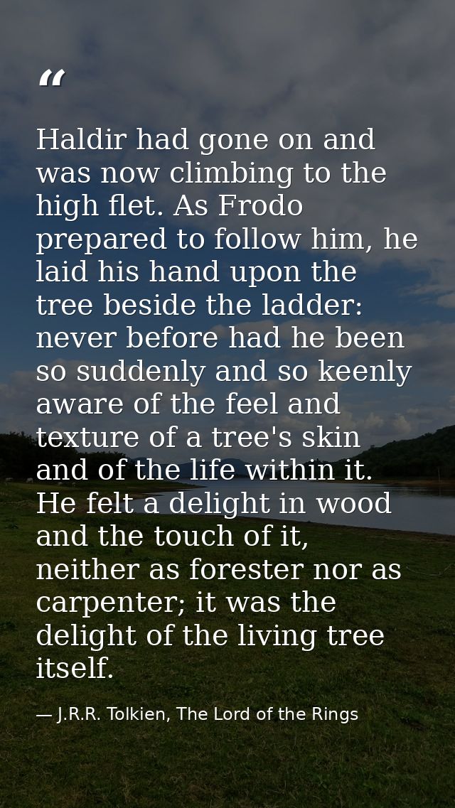 Haldir had gone on and was now climbing to the high flet. As Frodo prepared to follow him, he laid his hand upon the tre — J.R.R. Tolkien, The Lord of the Rings