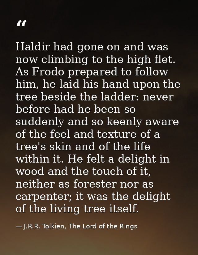 Haldir had gone on and was now climbing to the high flet. As Frodo prepared to follow him, he laid his hand upon the tre — J.R.R. Tolkien, The Lord of the Rings
