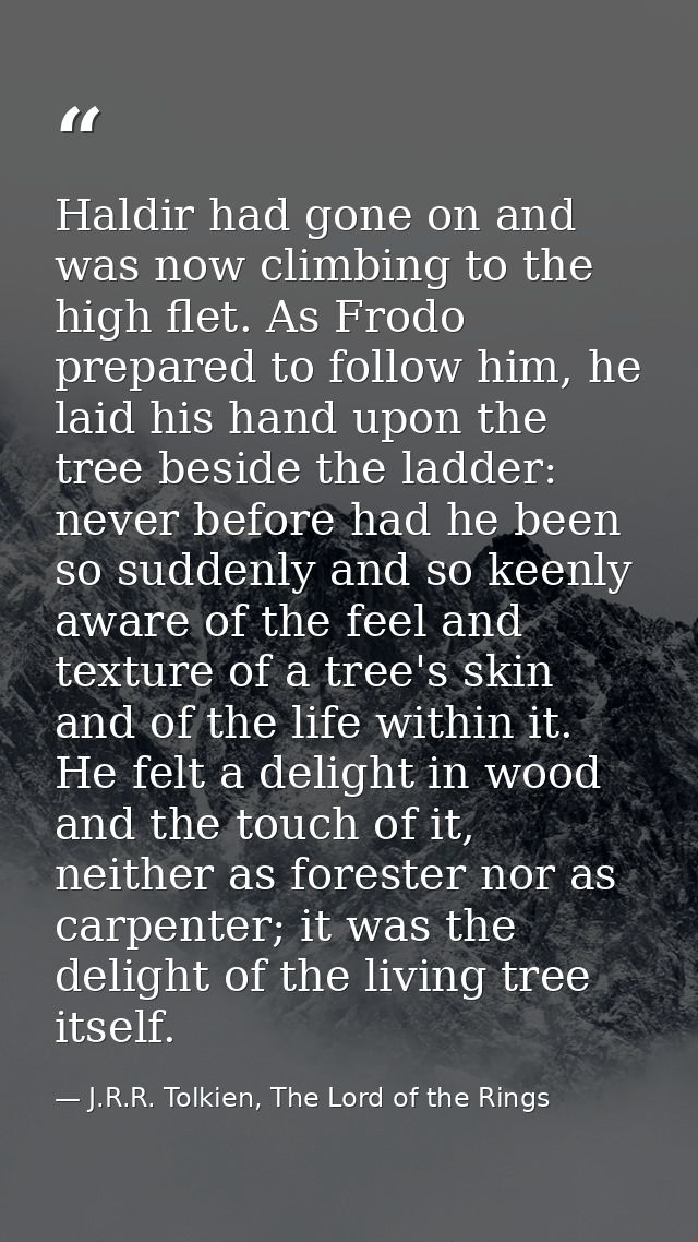 Haldir had gone on and was now climbing to the high flet. As Frodo prepared to follow him, he laid his hand upon the tre — J.R.R. Tolkien, The Lord of the Rings