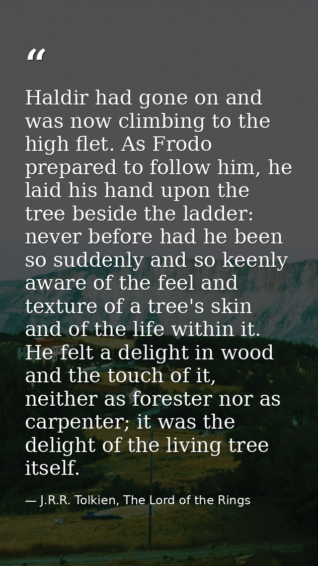 Haldir had gone on and was now climbing to the high flet. As Frodo prepared to follow him, he laid his hand upon the tre — J.R.R. Tolkien, The Lord of the Rings