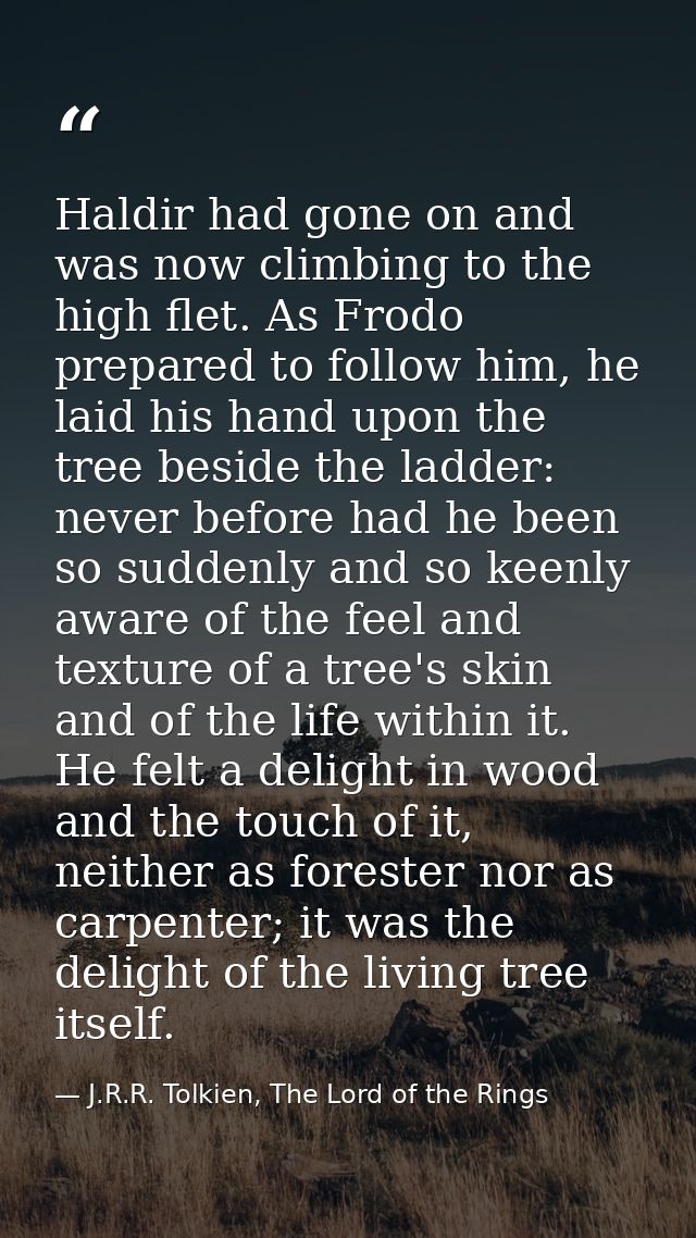 Haldir had gone on and was now climbing to the high flet. As Frodo prepared to follow him, he laid his hand upon the tre — J.R.R. Tolkien, The Lord of the Rings