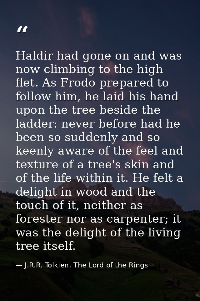 Haldir had gone on and was now climbing to the high flet. As Frodo prepared to follow him, he laid his hand upon the tre — J.R.R. Tolkien, The Lord of the Rings