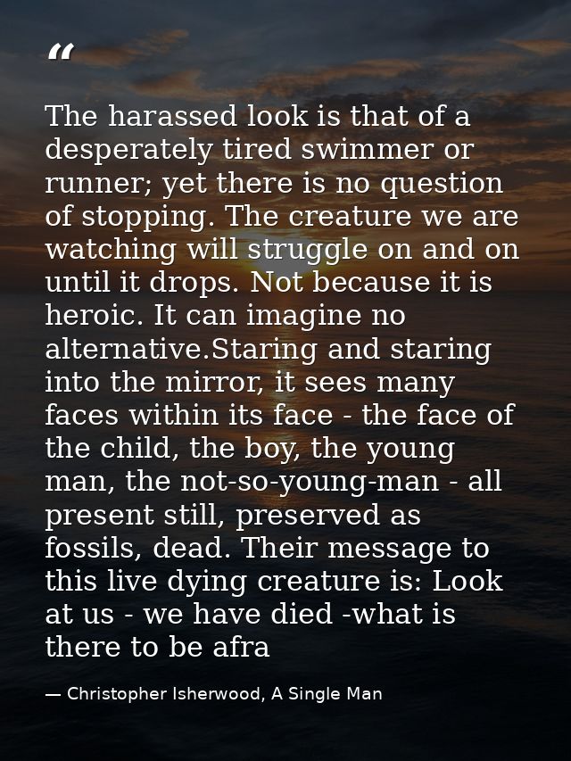 The harassed look is that of a desperately tired swimmer or runner; yet there is no question of stopping. The creature w — Christopher Isherwood, A Single Man