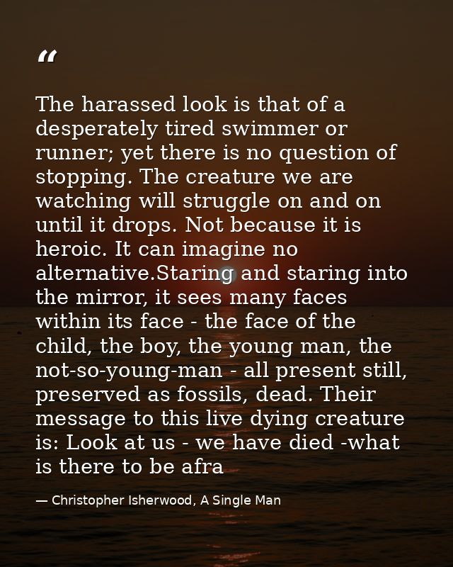 The harassed look is that of a desperately tired swimmer or runner; yet there is no question of stopping. The creature w — Christopher Isherwood, A Single Man