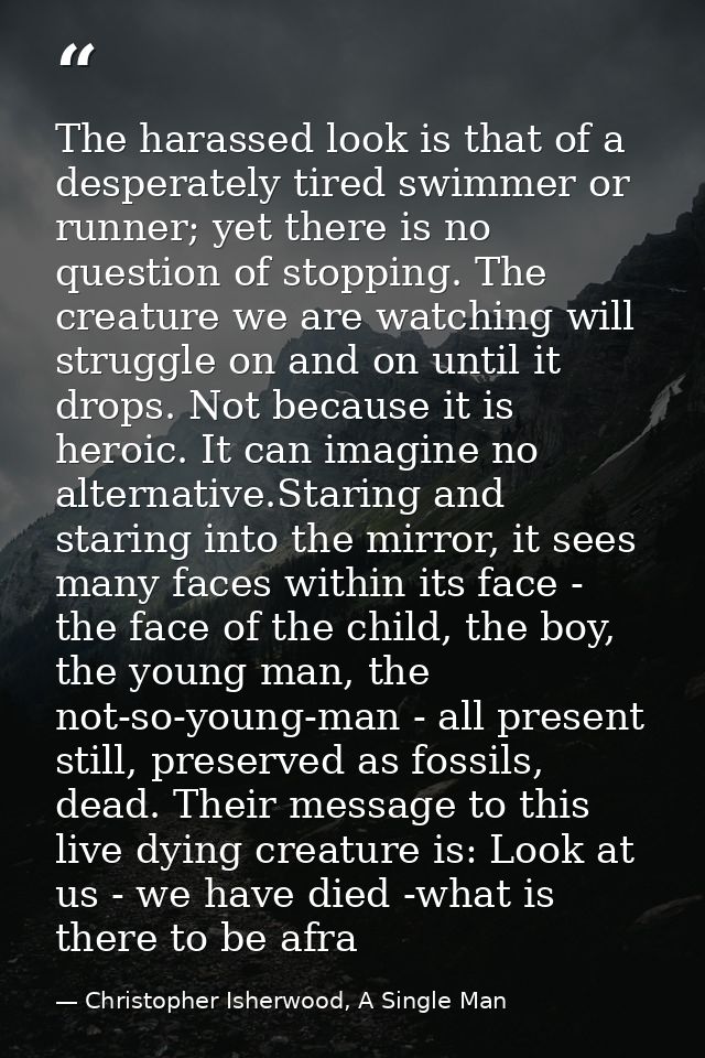 The harassed look is that of a desperately tired swimmer or runner; yet there is no question of stopping. The creature w — Christopher Isherwood, A Single Man
