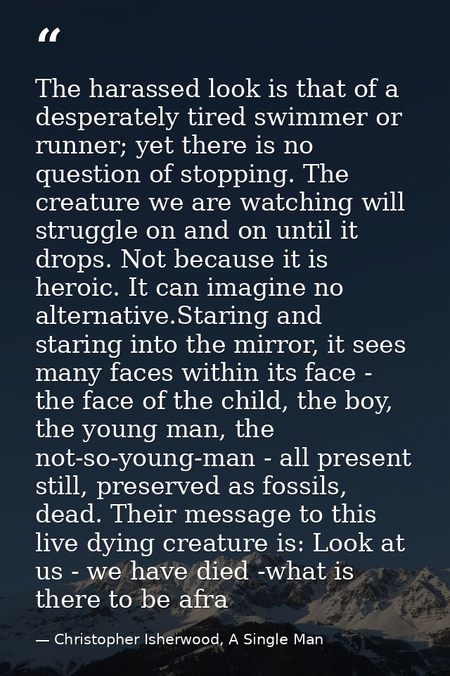 The harassed look is that of a desperately tired swimmer or runner; yet there is no question of stopping. The creature w — Christopher Isherwood, A Single Man