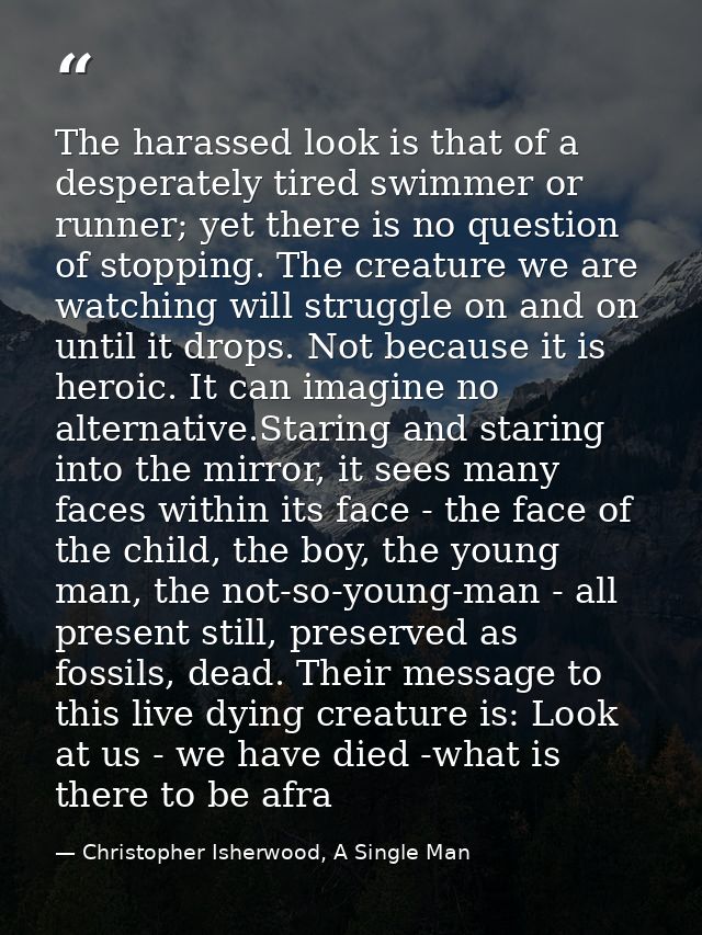 The harassed look is that of a desperately tired swimmer or runner; yet there is no question of stopping. The creature w — Christopher Isherwood, A Single Man