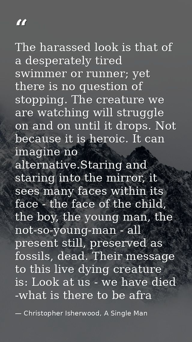 The harassed look is that of a desperately tired swimmer or runner; yet there is no question of stopping. The creature w — Christopher Isherwood, A Single Man