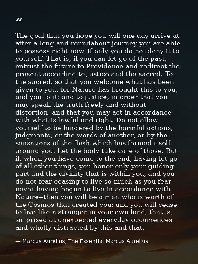 The goal that you hope you will one day arrive at after a long and roundabout journey you are able to possess right now, — Marcus Aurelius, The Essential Marcus Aurelius