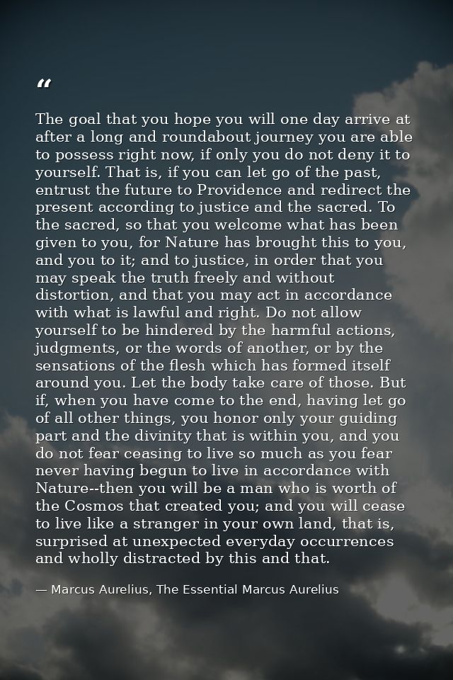 The goal that you hope you will one day arrive at after a long and roundabout journey you are able to possess right now, — Marcus Aurelius, The Essential Marcus Aurelius