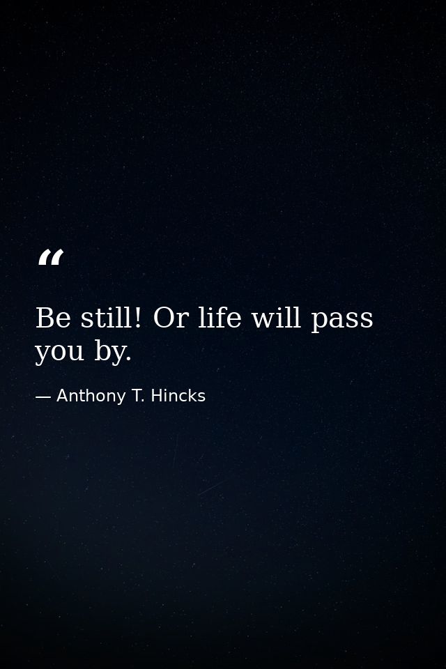Be still! Or life will pass you by. — Anthony T. Hincks