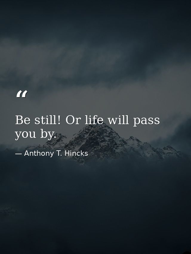 Be still! Or life will pass you by. — Anthony T. Hincks