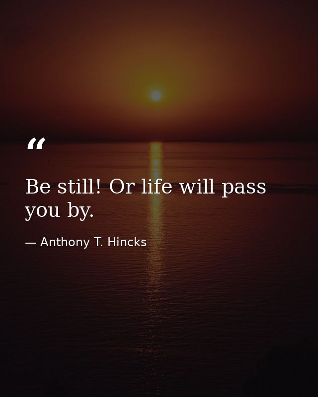 Be still! Or life will pass you by. — Anthony T. Hincks